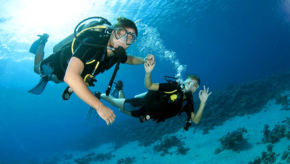 Local captains & professional dive guides
